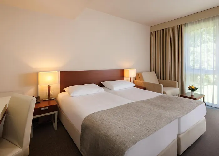 Hotel Albatros Plava Laguna