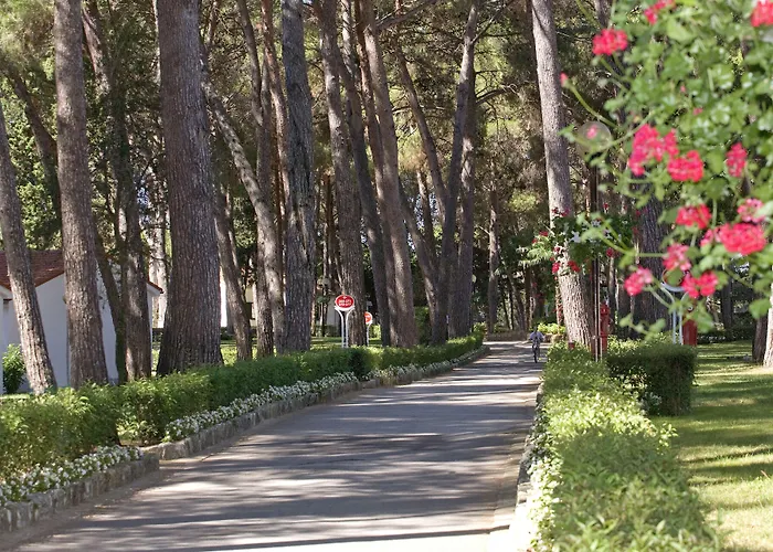 Village Galijot Plava Laguna